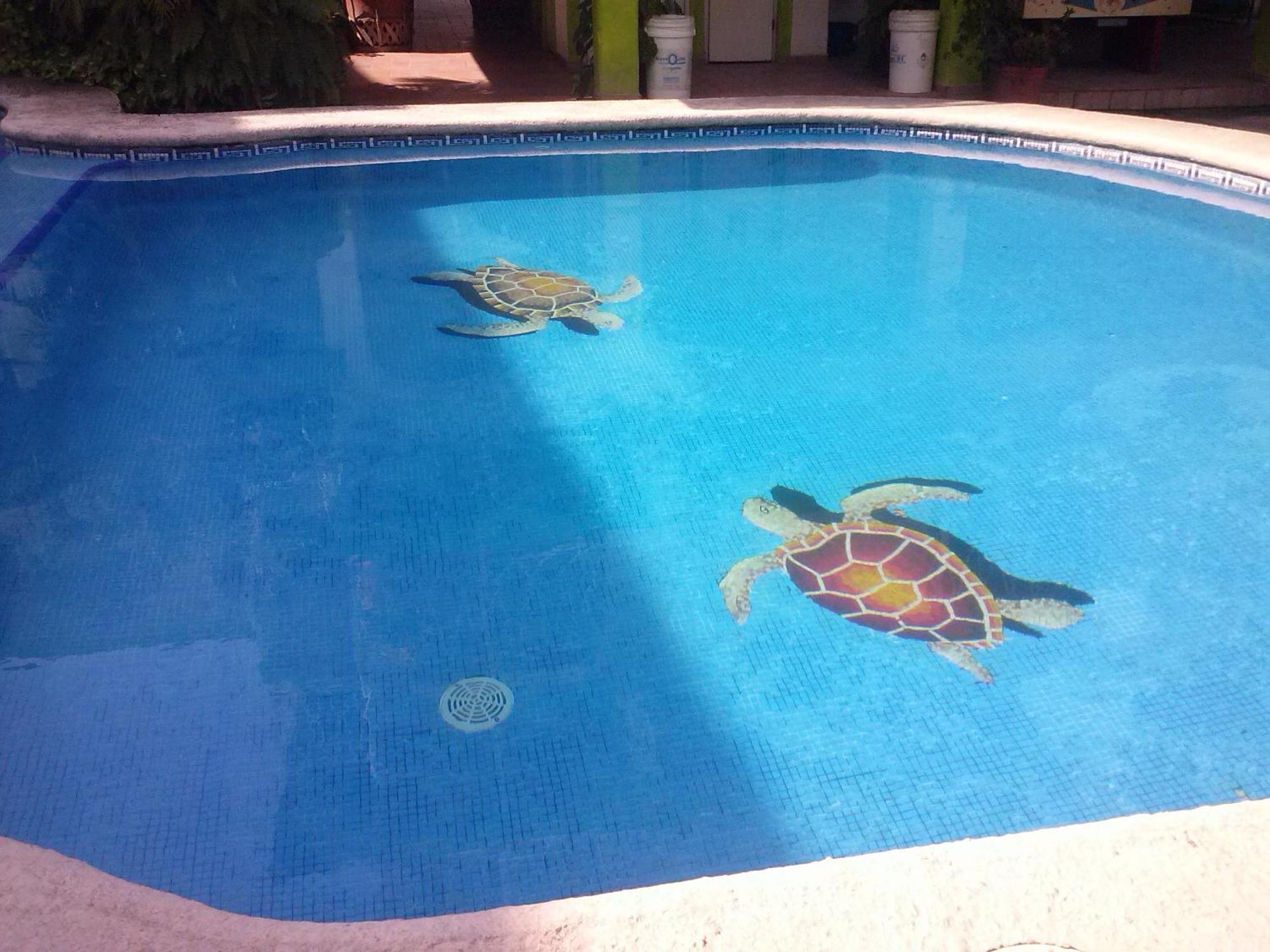 Hotel Y Bungalows Islas Careyes Los Ayala Luaran gambar